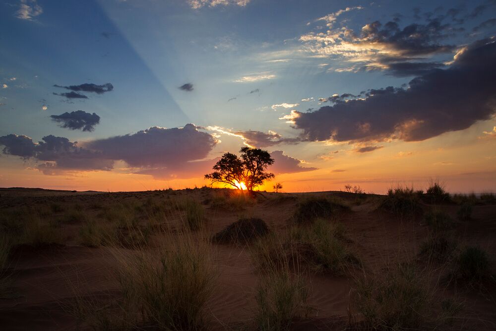 Sonnenuntergang in der Namib-Wüste